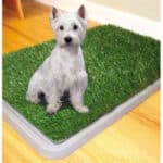 Potty Patch Baño Entrenamiento #Hh-202 #Bp172