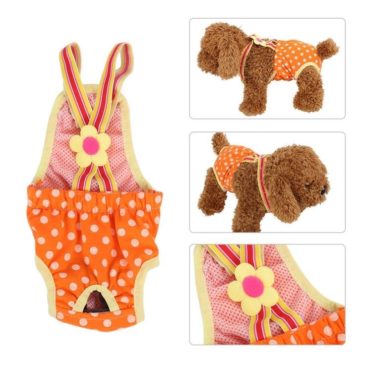 Calzón De Celo Para Perrita Talla Xl #29511Xl - Imagen 2