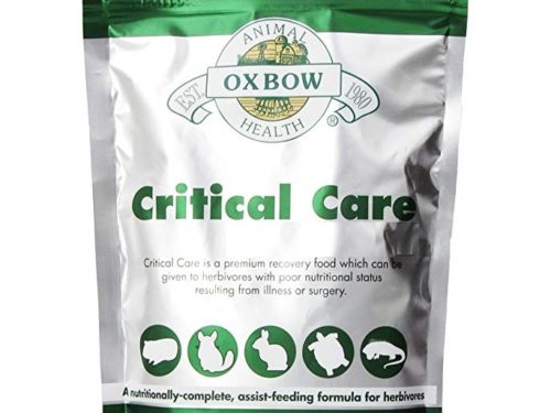 Oxbow Critical Care De 141Gr Herbívoros