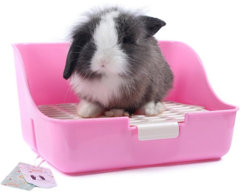 Baño O Letrina Esquinero Cuadrada  Para Mascotas Pequeñas