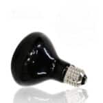 Ampolleta Luz Ultravioleta 42W - Imagen 2