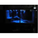 Ampolleta Luz Ultravioleta 42W - Imagen 3