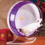 Rueda Anti Ruidos De 22Cm De Diámetro #Ba22 - Imagen 2