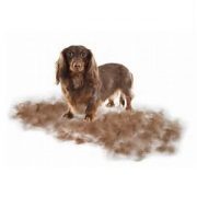 Cepillo S Eliminador De Pelos Muertos Furminator - Imagen 3