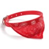 Collar Con Pañoleta Perro - Gato Talla Xs #S11013 FYN