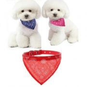 Collar Con Pañoleta Perro Talla S #31003 FYN - Imagen 3