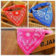 Collar Con Pañoleta Perro - Gato Talla Xs  FYN - Imagen 2