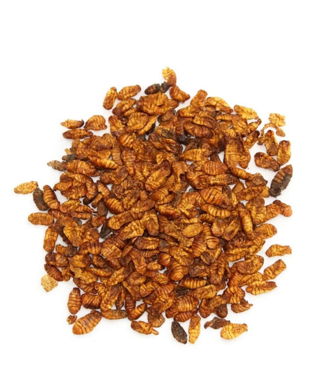 Pupas del Gusano de la Seda 50gr #Silk MBN