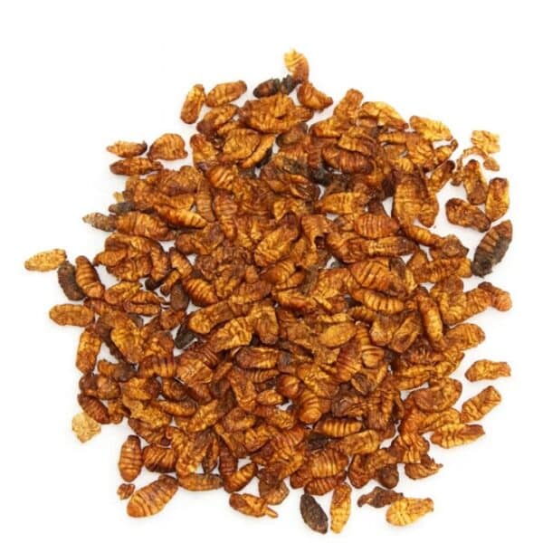 Pupas del Gusano de la Seda 50gr #Silk MBN