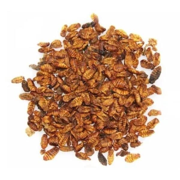 Pupas del Gusano de la Seda 50gr #Silk MBN