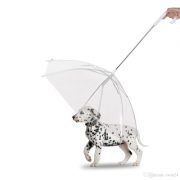 Paraguas Con Correa Para Perros #Wq4508C