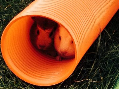 Tubo Tunel Corrugado 90Cm Largo #Ayc-S260-2 - Imagen 2