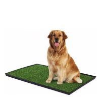 Pet Potty Baño Entrenamiento Razas Grandes