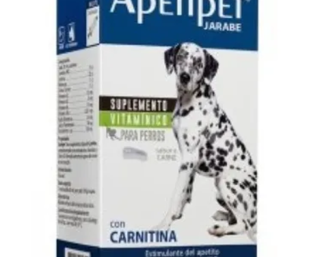 Apetipet Jarabe 100 Ml