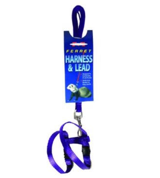 Arnés Y Correa Marshall Para Hurón Azul #Fp-094 - Imagen 2