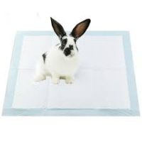 Sabanillas De Adiestramiento 60X45Cm, 50Un #FYN32202 - Imagen 3