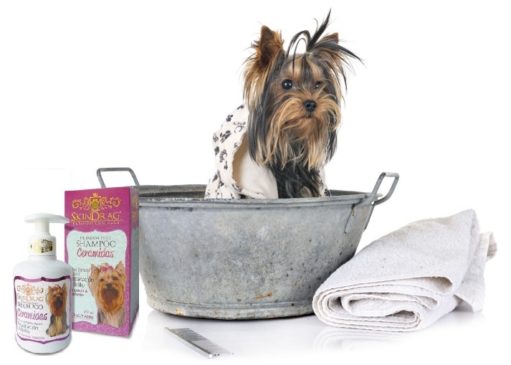 Shampoo Skindrag Con Ceramidas #11-5850-1 - Imagen 2