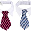 Entretenido Collar Con Corbata Para Perros Y Gatos #B040-S