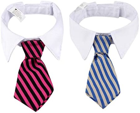 Entretenido Collar Con Corbata Para Perros Y Gatos #B040-S