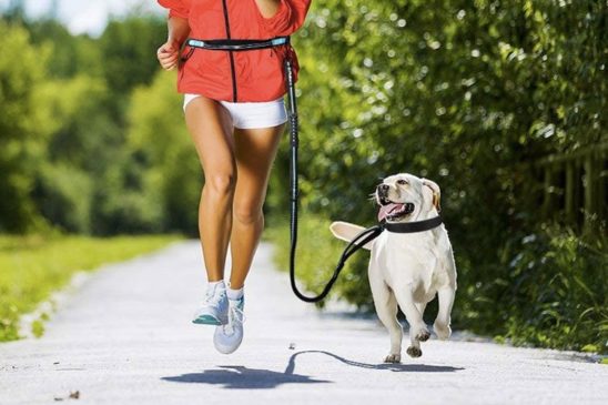 Correas De Cintura Para Corredores MBN