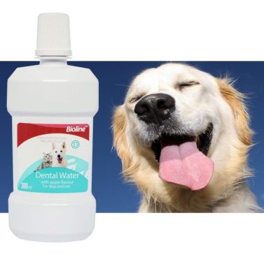 Dental Water Bioline #2141 - Imagen 3