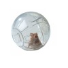 Esfera Pelota Para Hamster 16 Cm