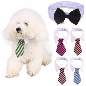Entretenido Collar Con Corbata Para Perros Y Gatos #B040-S - Imagen 3