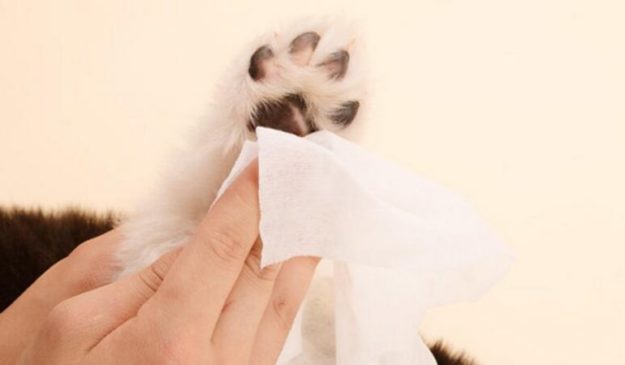 Toallitas Húmedas Camon Con Aloe Vera 100Un - Imagen 3