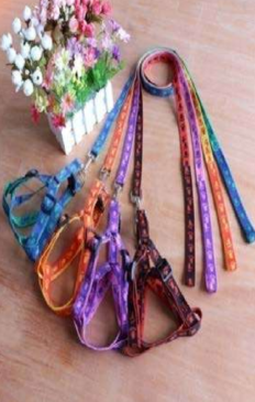 Arnés Con Estampado Talla M - Imagen 2