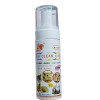 Shampoo En Seco Espuma