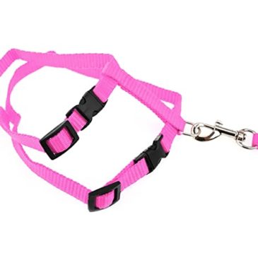 Arnés Simple Talla M #Af15753 - Imagen 2