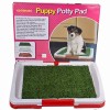 Potty Patch Baño Entrenamiento M