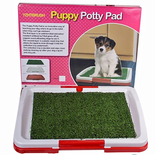 Potty Patch Baño Entrenamiento M