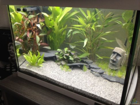 Termometro Digital Adhesivo - Imagen 3