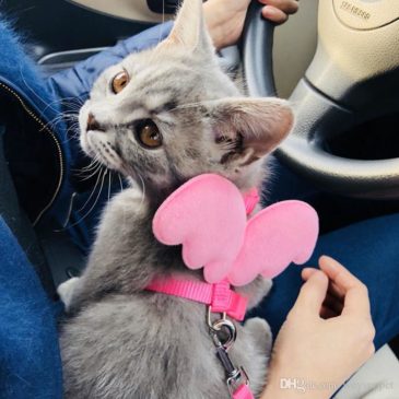 Arnés Con Alas Talla S #26040 - Imagen 3