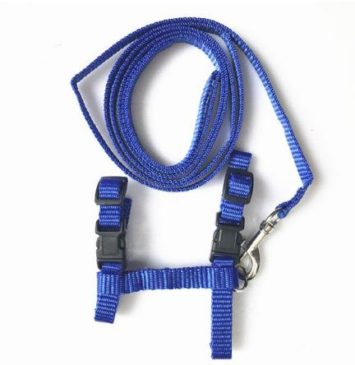 Arnés Simple Talla M #Af15753 - Imagen 3