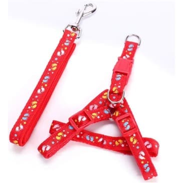 Arnés Simple Con Estampados Talla M #27059