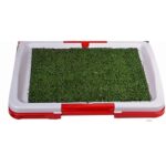 Baño Entrenamiento M