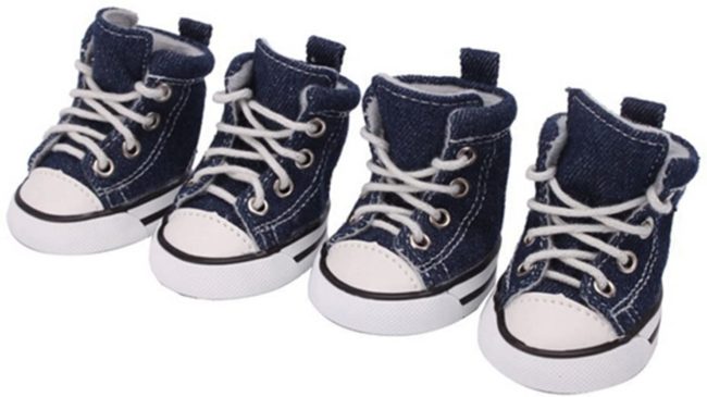 Zapatos De Lona Para Perros Estilo Converse Talla 1
