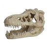 Decoración De Cráneo Artificial De Dinosaurio #Mb9-16