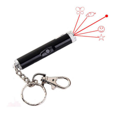 Juguete Interactivo Puntero Láser (2 En 1)