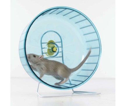 Rueda L De 28Cm De Diámetro