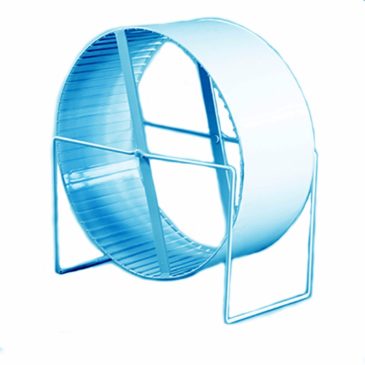 Rueda Metálica Para Erizo Y Roedor