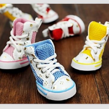 Zapatos Para Perros Con Estilo FYN #24071