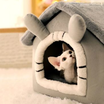 Casa Acolchada Con Colita #24096 - Imagen 5