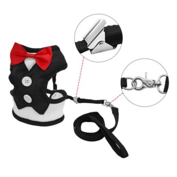 Arnes Traje Para Perro Talla M MBN #Fb-010M - Imagen 2