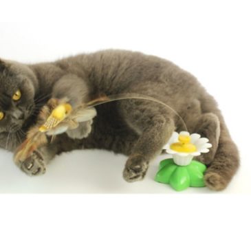 Juguete Picaflor Para Gato - Imagen 4