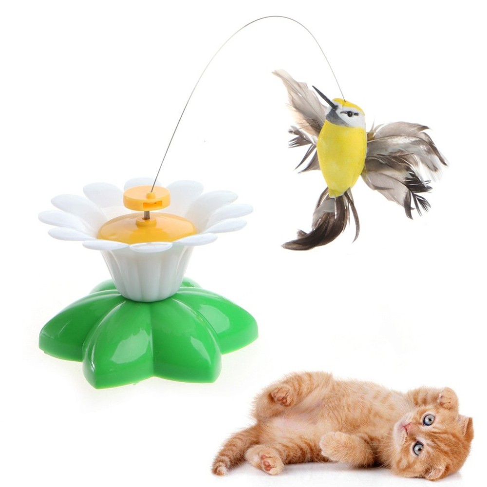 Juguete Picaflor Para Gato #Ct085-2