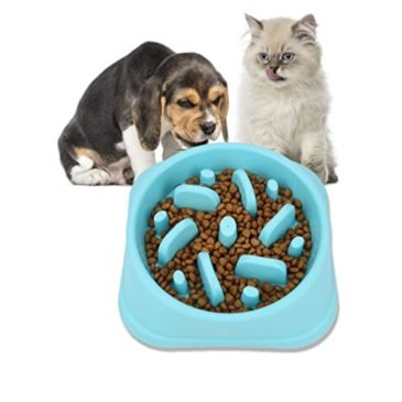 Plato Alimentación Lenta Tamaño L FYN #29052 - Imagen 2