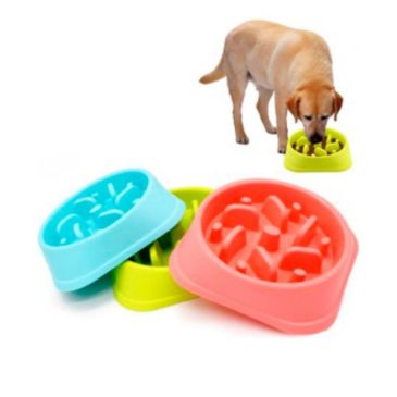 Plato Alimentación Lenta Tamaño L FYN #29052 - Imagen 3